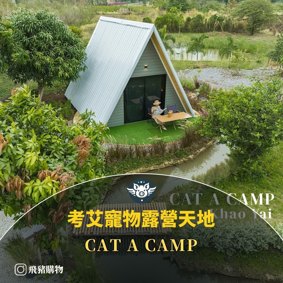 考艾寵物露營天地——Cat A Camp